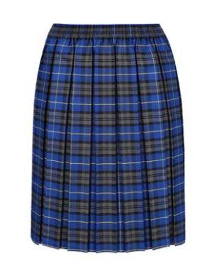 Skirt Tartan Royal (Winterbottom)