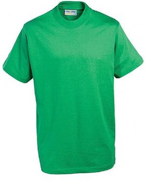 P.E. T-Shirt Emerald (Banner)