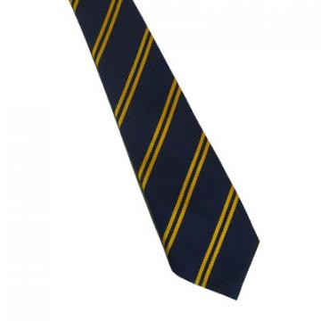 Tie Clip On Navy/Gold (DS104)
