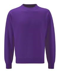 Sweatshirt Purple (Beezer) 
