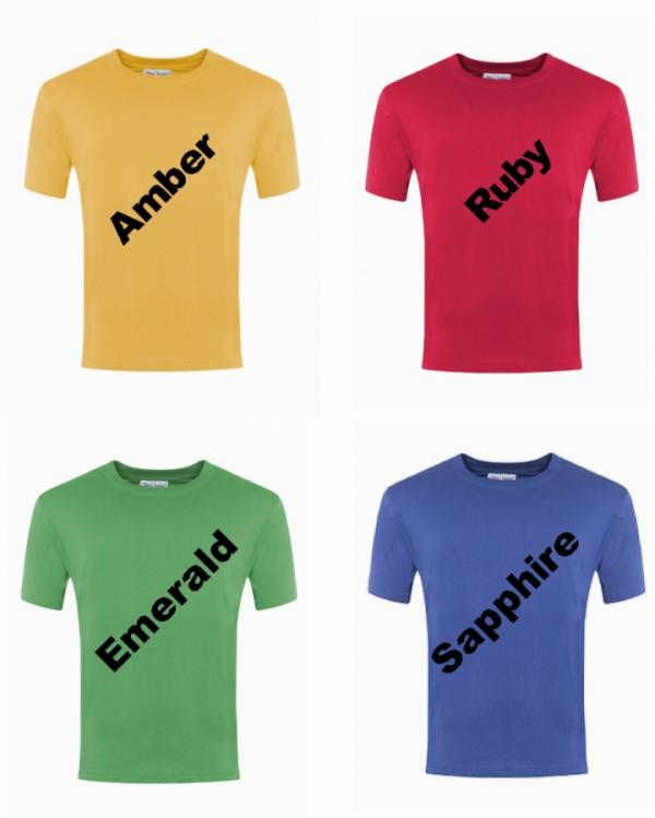 P.E. T-Shirt - House Colour (JC01J)