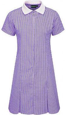 Gingham Avon Dress - Various Colours - Zip Fronted Corded (Banner)