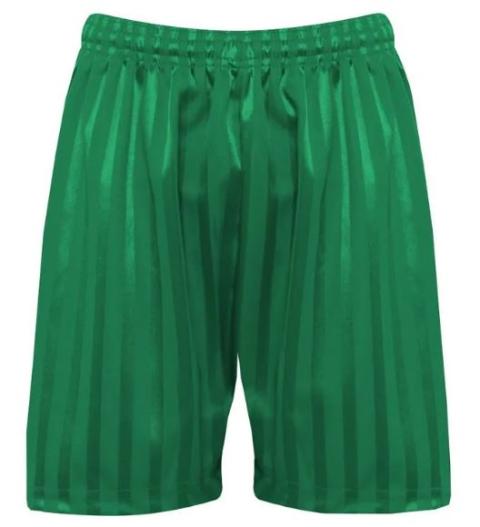 Shorts Shadow Stripe Emerald - No Logo (Banner)