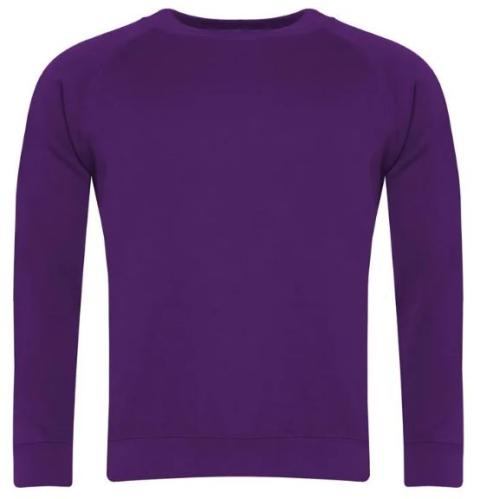 Sweatshirt Purple (TTT)